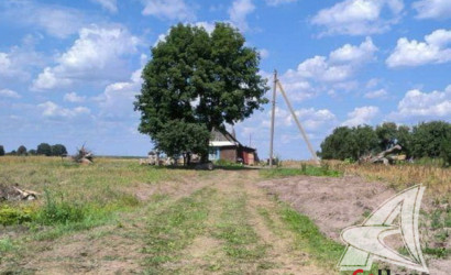 Купить участок, Лыщицы, Лыщицкий с/с, 25 соток. Фото 3