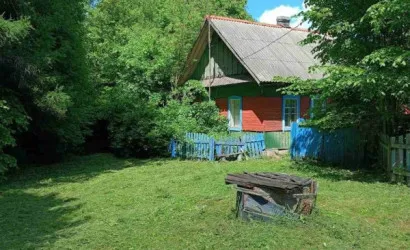  1-этаж.(38.6 м2), Большая Мощаница(Центральная, 4)