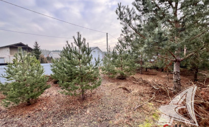 Купить дачу, Брест, Чернавчицкий с/с, 6 соток. Фото 26