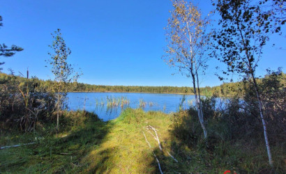 Купить дом, Марьино, Садовая ул., 24 соток. Фото 38