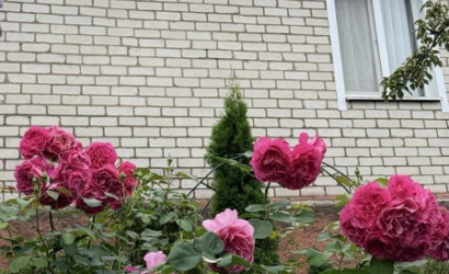 Купить дом в деревне, Папернянский с/с, СТ 