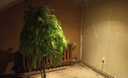 Купить дом, Брест, Белорусская ул., 2 соток. Фото 12