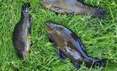 Купить дом, Потино, 12.1 соток. Фото 16