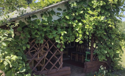 Снять на сутки дачу, Антонисберг, 20. Фото 6
