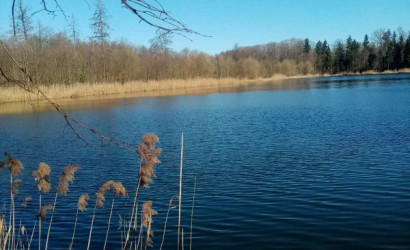 Снять на сутки дом, Альба, Полевая 6. Фото 3