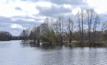 Купить дом, Новосады, Белорусская ул., 25 соток. Фото 25