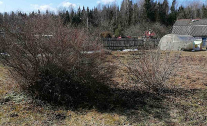 Купить участок, Шилино, С/т Шилино, 10 соток. Фото 12