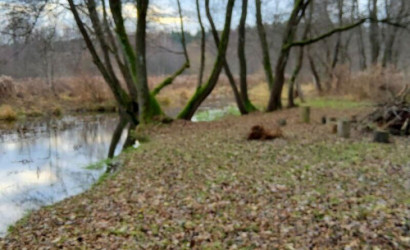 Купить дом, Марковщина, Луговая ул., 30, 14.93 соток. Фото 34