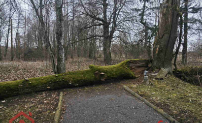 Купить дом, Стайки, Центральная, 20.57 соток. Фото 10