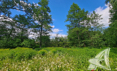 Купить дом в деревне, Ходосы, Ленинский с/с, 16.79 соток. Фото 10