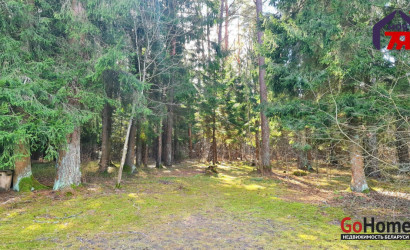 Купить дом в деревне, Родник-2009, 6 соток. Фото 26