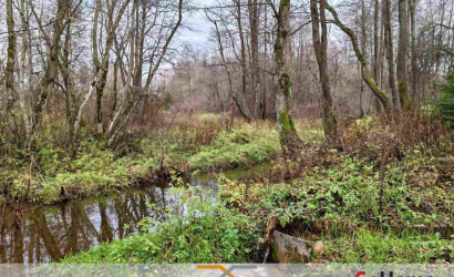 Купить дом в деревне, Ромашка Соломореченская, 4.99 соток. Фото 22