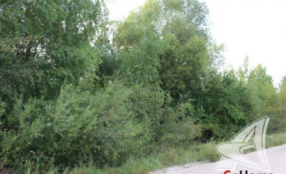 Купить участок, Брест, Бернады, 38.78 соток. Фото 7