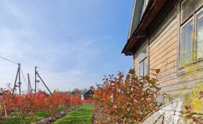 Купить дом, Рыбна, Киселевецкий с/с, 25 соток. Фото 4