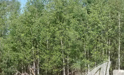 Купить дом, Старое Роматово, Великоритский с/с, 15 соток. Фото 18