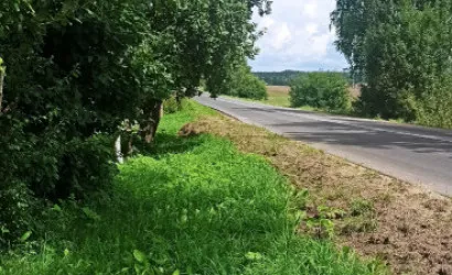  1-этаж.(70 м2), Пронцевичи(Молодечненский район)