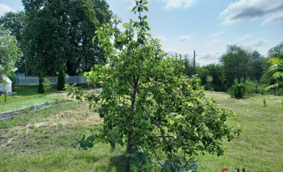 Купить дом, Двор-Гомель, Школьная ул., 6, 25 соток. Фото 17