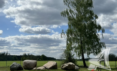 Купить участок, Малые Радваничи, Радваничский с/с, 25 соток. Фото 6