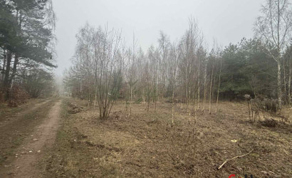 Купить участок, СТ Афган-2, 8.96 соток. Фото 2