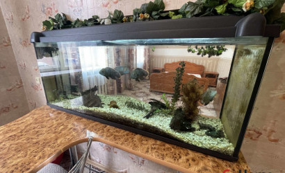 Купить 1-комнатную квартиру, Гродно, Телеграфная, 22А. Фото 9