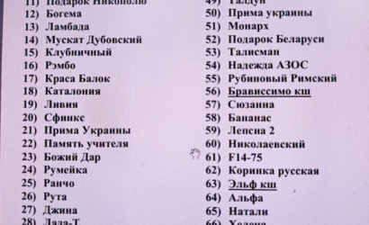 Купить дом в деревне, Нефтяник-3 ОАО Нафтан, 10.77 соток. Фото 45