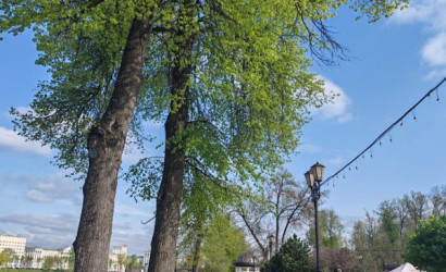 Купить 3-комнатную квартиру, Витебск, Марка Шагала, 3. Фото 8