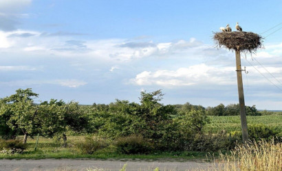 Купить участок, Родевичи, Нагорная ул., 25 соток. Фото 7