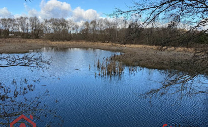 Купить участок, Приселки, 25 соток. Фото 11