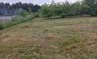  Лютка(с/т Автозаводец)
