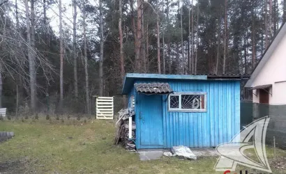  101.5 м2, Брест(Чернавчицкий с/с)
