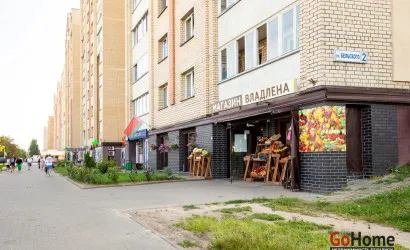  46 м2, Минск(Неманская ул., 31)