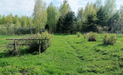  1-этаж.(52 м2), Шобики(1А)