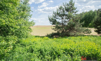 Купить дом, Минск, Рябинницкая ул., 42, 9.9 соток. Фото 10
