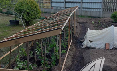 Купить дачу, Брест, Мотыкальский с/с, 7 соток. Фото 3