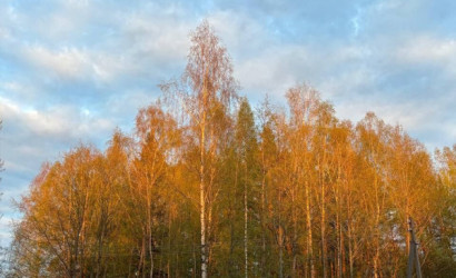 Купить участок, Черное озеро, 14 соток. Фото 4