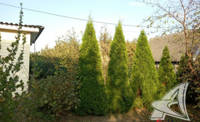 Купить дачу, Брест, Тельминский с/с, 3.91 соток. Фото 8