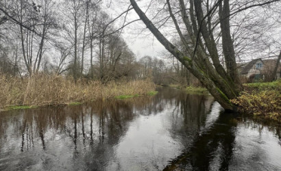 Купить дом в деревне, Лесное д.Доржи, 7 соток. Фото 11