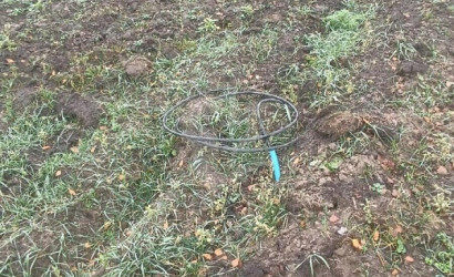 Купить участок, Бытовик-92, 7 соток. Фото 7