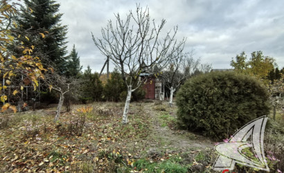 Купить дачу, Брест, Чернавчицкий с/с, 10.49 соток. Фото 15