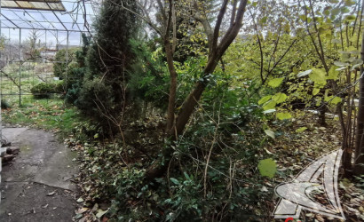 Купить дачу, Брест, Чернавчицкий с/с, 10.49 соток. Фото 14