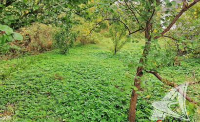 Купить дом, Ковердяки, Мотыкальский с/с, 12.09 соток. Фото 21