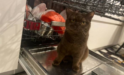 Купить 2-комнатную квартиру, Петришки, Гагарина. Фото 10