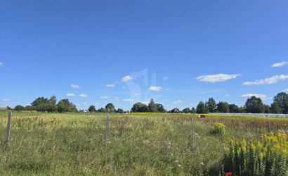 Купить участок, Дубрава, 4.44 соток. Фото 13