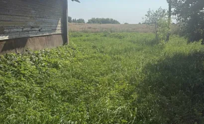  50.4 м2, Новицкие