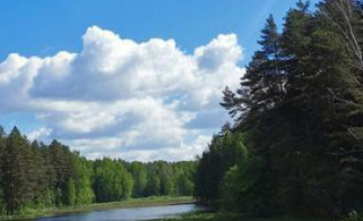 Купить дом, Артемово, Центральная, 25 соток. Фото 21