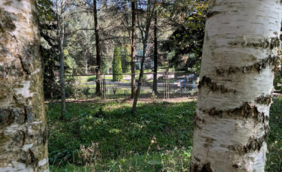 Купить дом, Осиновка, 1-й Осиновский, 3, 24.99 соток. Фото 17