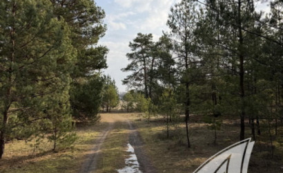 Купить участок, Дубица, Домачевский с/с, 24.9 соток. Фото 9