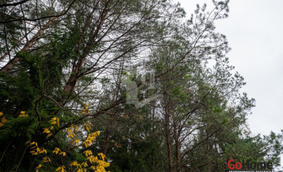 Купить дом в деревне, Зеленый дол, 4.37 соток. Фото 34