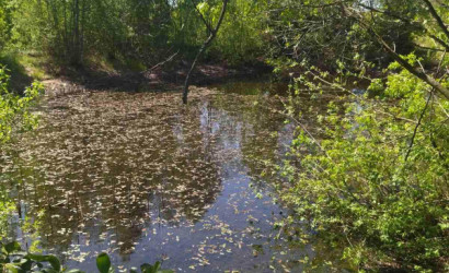 Купить дом в деревне, Зеленый Экспресс, 6.31 соток. Фото 21