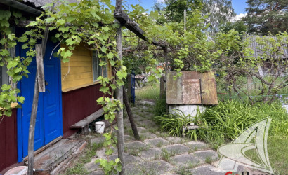 Купить дом в деревне, Леплевка, Домачевский с/с, 17.74 соток. Фото 10